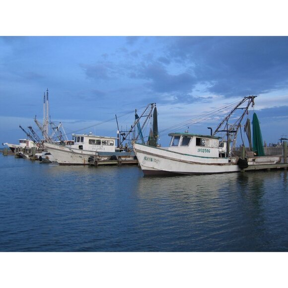 Canon PowerShot S500 Digital Elph Camera 5.0MP 3x Optical Zoom 2GB CF Card MINT - Picture 7 of 16